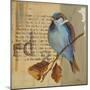 Blue Love Birds I-Patricia Pinto-Mounted Art Print