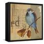 Blue Love Birds I-Patricia Pinto-Framed Stretched Canvas