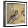 Blue Love Birds II-Patricia Pinto-Framed Art Print