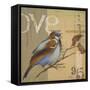 Blue Love Birds II-Patricia Pinto-Framed Stretched Canvas