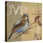 Blue Love Birds II-Patricia Pinto-Stretched Canvas