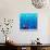 Blue Lovers-Matt Crump-Photographic Print displayed on a wall
