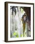 Blue Macaw, El Gallineral Park, San Gil, Colombia, South America-Christian Kober-Framed Photographic Print