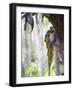 Blue Macaw, El Gallineral Park, San Gil, Colombia, South America-Christian Kober-Framed Photographic Print