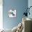 Blue Magnolias II-Lanie Loreth-Stretched Canvas displayed on a wall