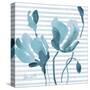 Blue Magnolias II-Lanie Loreth-Stretched Canvas