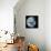 Blue Marble Image of Earth (2005)-null-Framed Stretched Canvas displayed on a wall