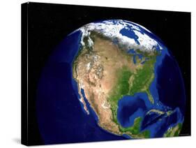Blue Marble Next Generation Seasonal Landcover-Stocktrek Images-Stretched Canvas