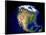 Blue Marble Next Generation Seasonal Landcover-Stocktrek Images-Framed Photographic Print