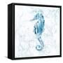 Blue Marble Seahorse-null-Framed Stretched Canvas