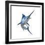 Blue Marli-null-Framed Art Print