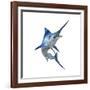 Blue Marli-null-Framed Art Print