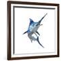 Blue Marli-null-Framed Art Print