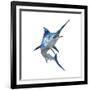 Blue Marli-null-Framed Art Print