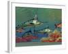 Blue Marlin And Humpback Red Snapper Fish-Stocktrek Images-Framed Photographic Print