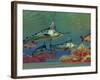 Blue Marlin And Humpback Red Snapper Fish-Stocktrek Images-Framed Photographic Print