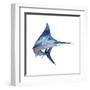 Blue Marlin-null-Framed Art Print