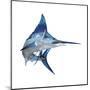 Blue Marlin-null-Mounted Art Print