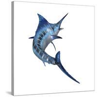 Blue Marlin-null-Stretched Canvas