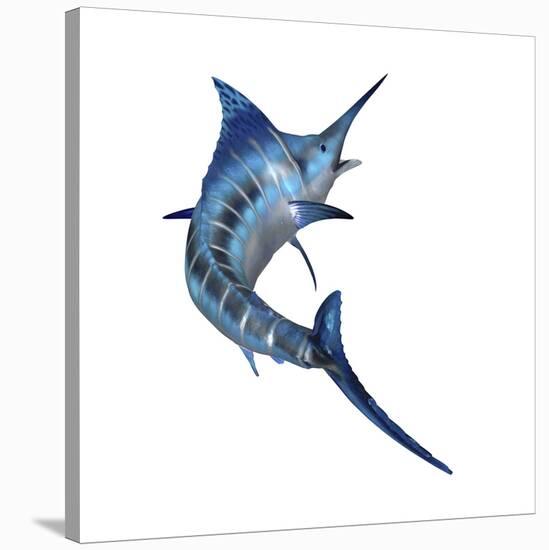 Blue Marlin-null-Stretched Canvas