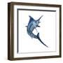 Blue Marlin-null-Framed Art Print