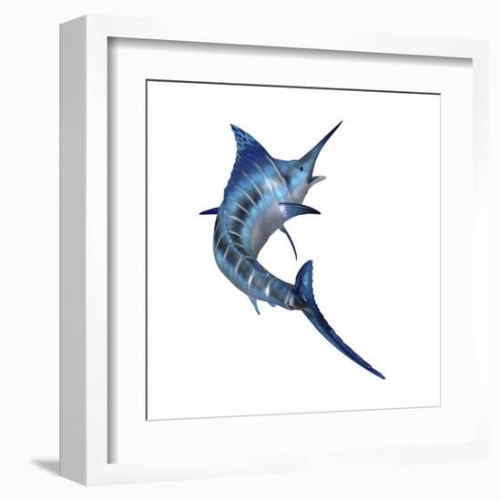 Blue Marlin-null-Framed Art Print