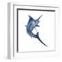 Blue Marlin-null-Framed Art Print