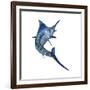 Blue Marlin-null-Framed Art Print