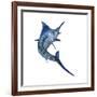 Blue Marlin-null-Framed Art Print