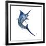 Blue Marlin-null-Framed Art Print