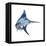 Blue Marlin-null-Framed Stretched Canvas