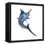 Blue Marlin-null-Framed Stretched Canvas