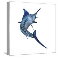 Blue Marlin-null-Stretched Canvas