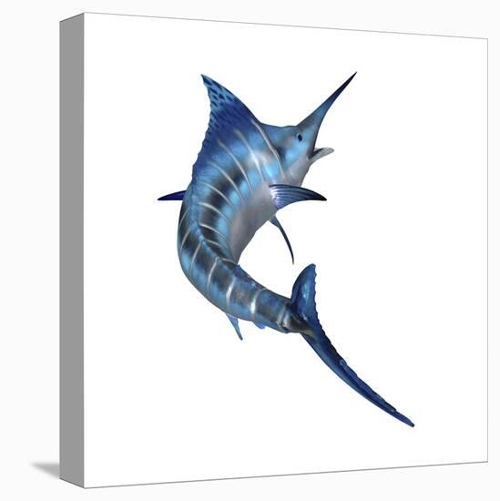 Blue Marlin-null-Stretched Canvas