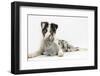 Blue Merle Border Collie Puppy, and Silver Baby Rabbit-Mark Taylor-Framed Photographic Print