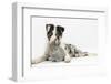 Blue Merle Border Collie Puppy, and Silver Baby Rabbit-Mark Taylor-Framed Photographic Print