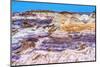 Blue Mesa Trail, Painted Desert, Petrified Forest National Park, Arizona-William Perry-Mounted Photographic Print