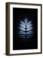 Blue Mirror-Philippe Sainte-Laudy-Framed Photographic Print