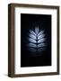 Blue Mirror-Philippe Sainte-Laudy-Framed Photographic Print