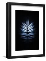 Blue Mirror-Philippe Sainte-Laudy-Framed Photographic Print