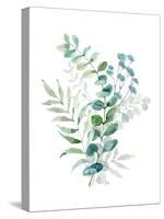Blue Mist Eucalyptus II-null-Stretched Canvas