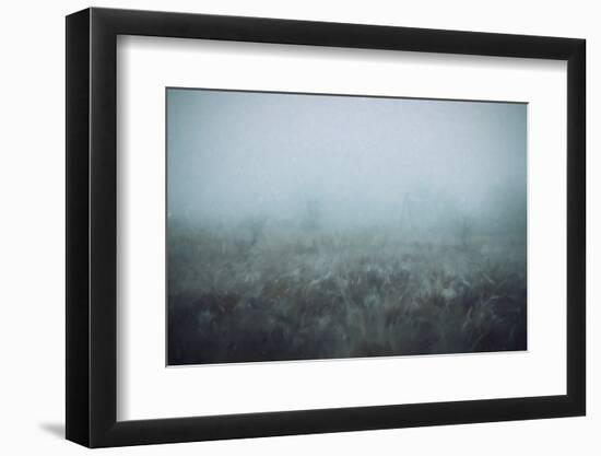 Blue Mist-Kim Curinga-Framed Photographic Print