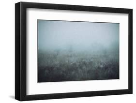 Blue Mist-Kim Curinga-Framed Photographic Print