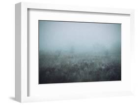 Blue Mist-Kim Curinga-Framed Photographic Print