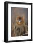 Blue Monkey-DLILLC-Framed Photographic Print