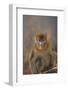 Blue Monkey-DLILLC-Framed Photographic Print