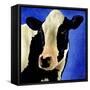 Blue Moo Moo-Will Bullas-Framed Stretched Canvas