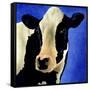 Blue Moo Moo-Will Bullas-Framed Stretched Canvas