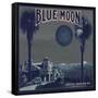 Blue Moon Brand - Los Angeles, California - Citrus Crate Label-Lantern Press-Framed Stretched Canvas