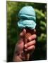 Blue Moon Ice Cream, Concord, New Hampshire-Larry Crowe-Mounted Photographic Print